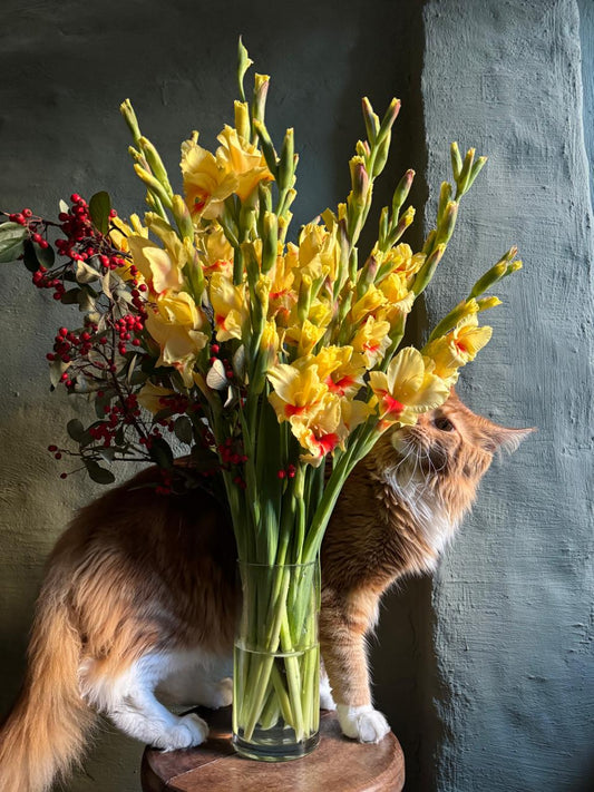 Pet-Friendly Bouquets: Blooms That Bring Only Joy