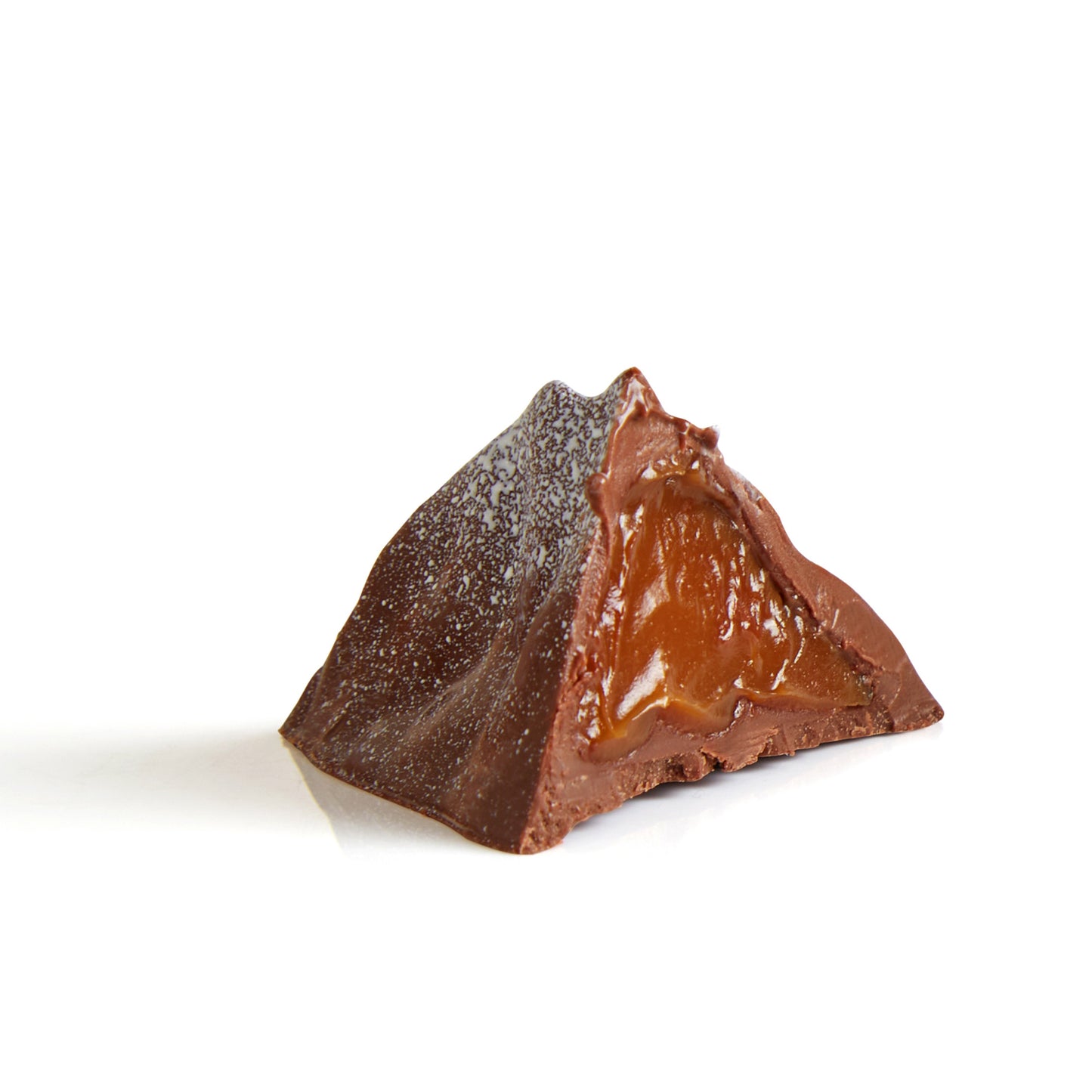 Сhocolate Castor