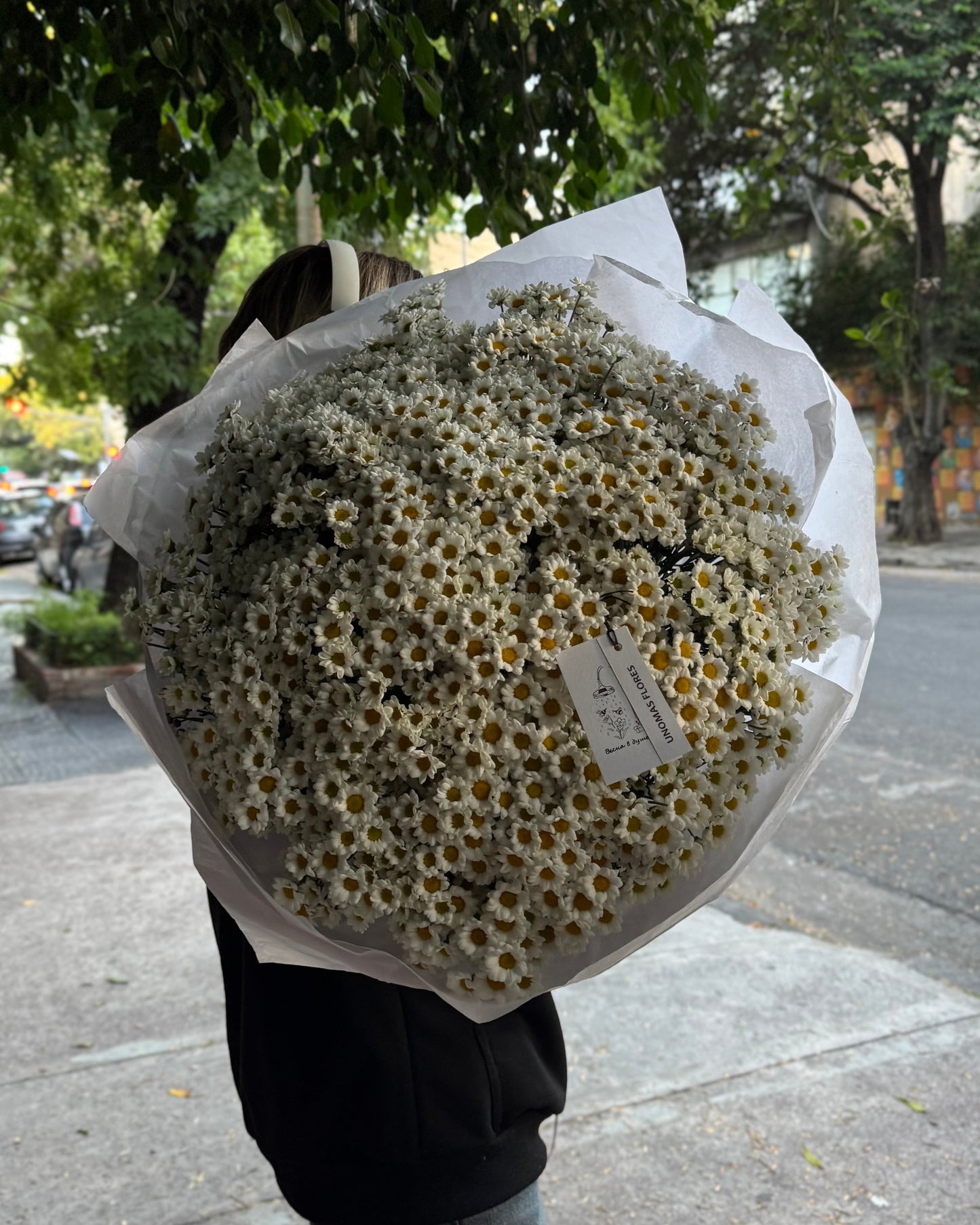 Hand-tied big white daisy chrysanthemums bouquet