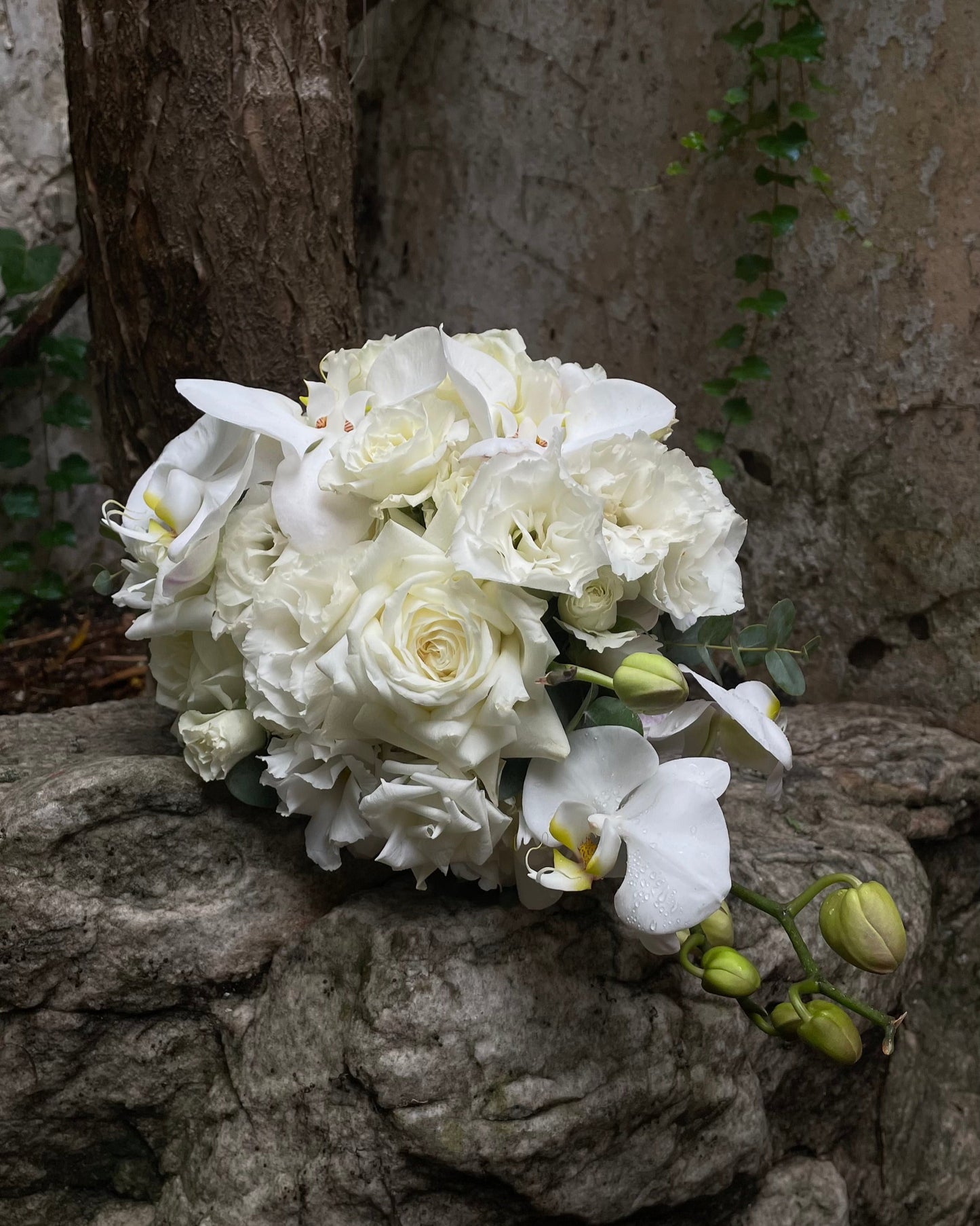 Bridal bouquet with orchid & Ecuadorian roses