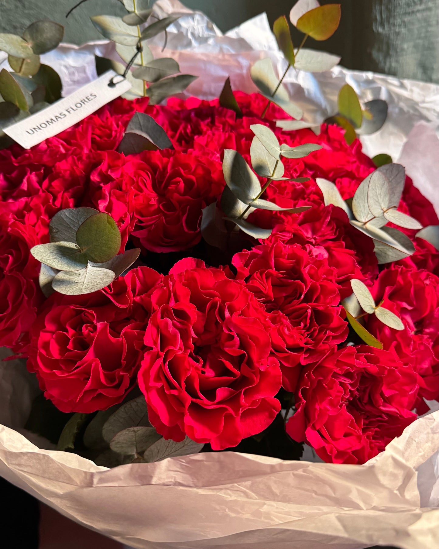 Hand-tied bouquet mono with Red ecuadorian garden roses 25 pcs