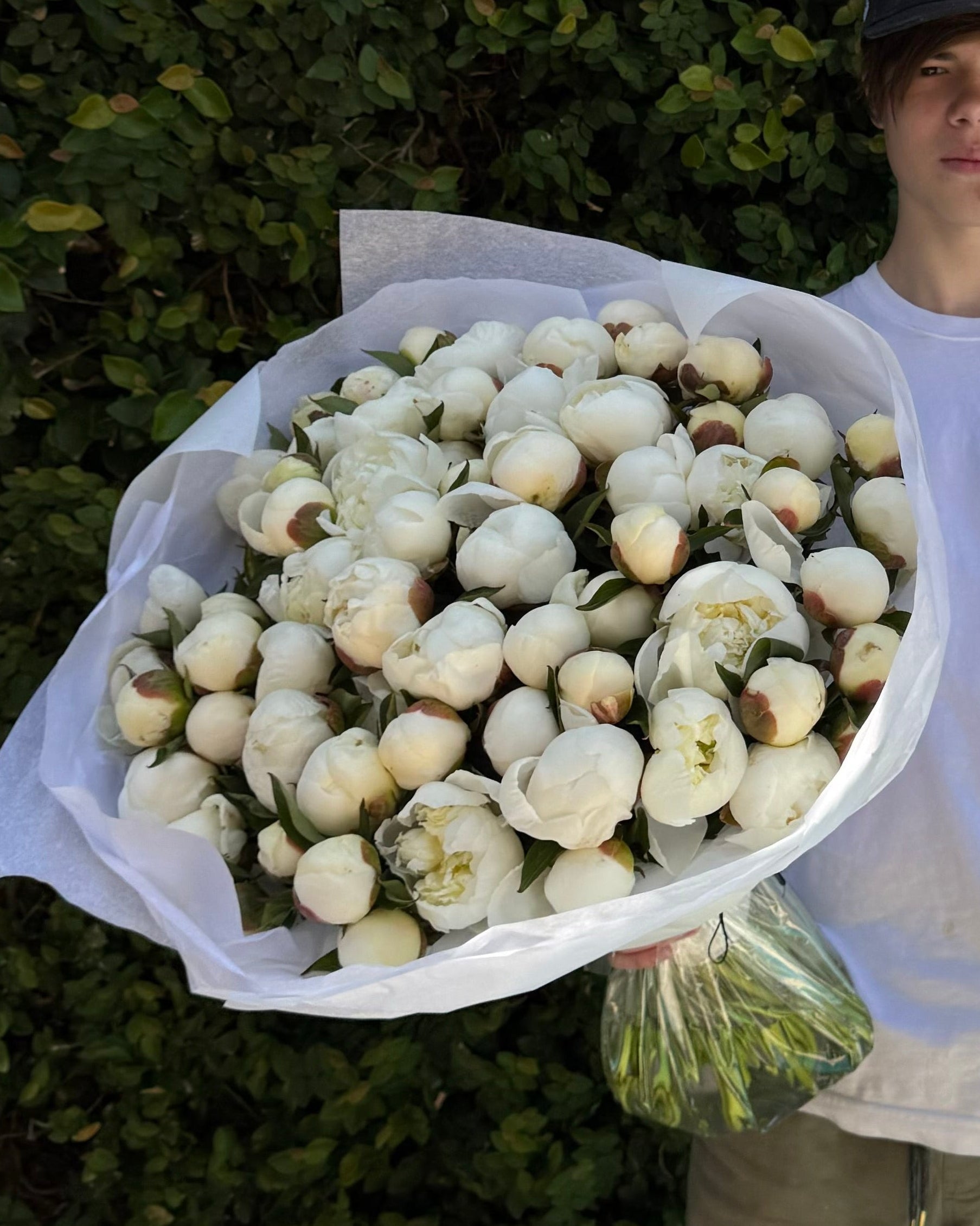Person holding two bouquets of flowers  peonies white and pink against a green hedge.
