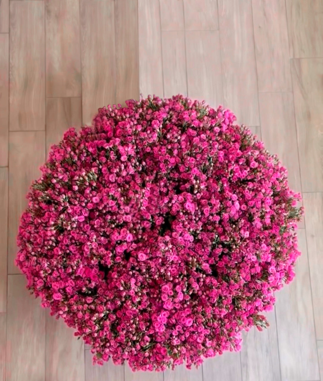 Un arreglo enorme de rosas spray en color rosa intenso en Buenos Aires de Unomas Flores