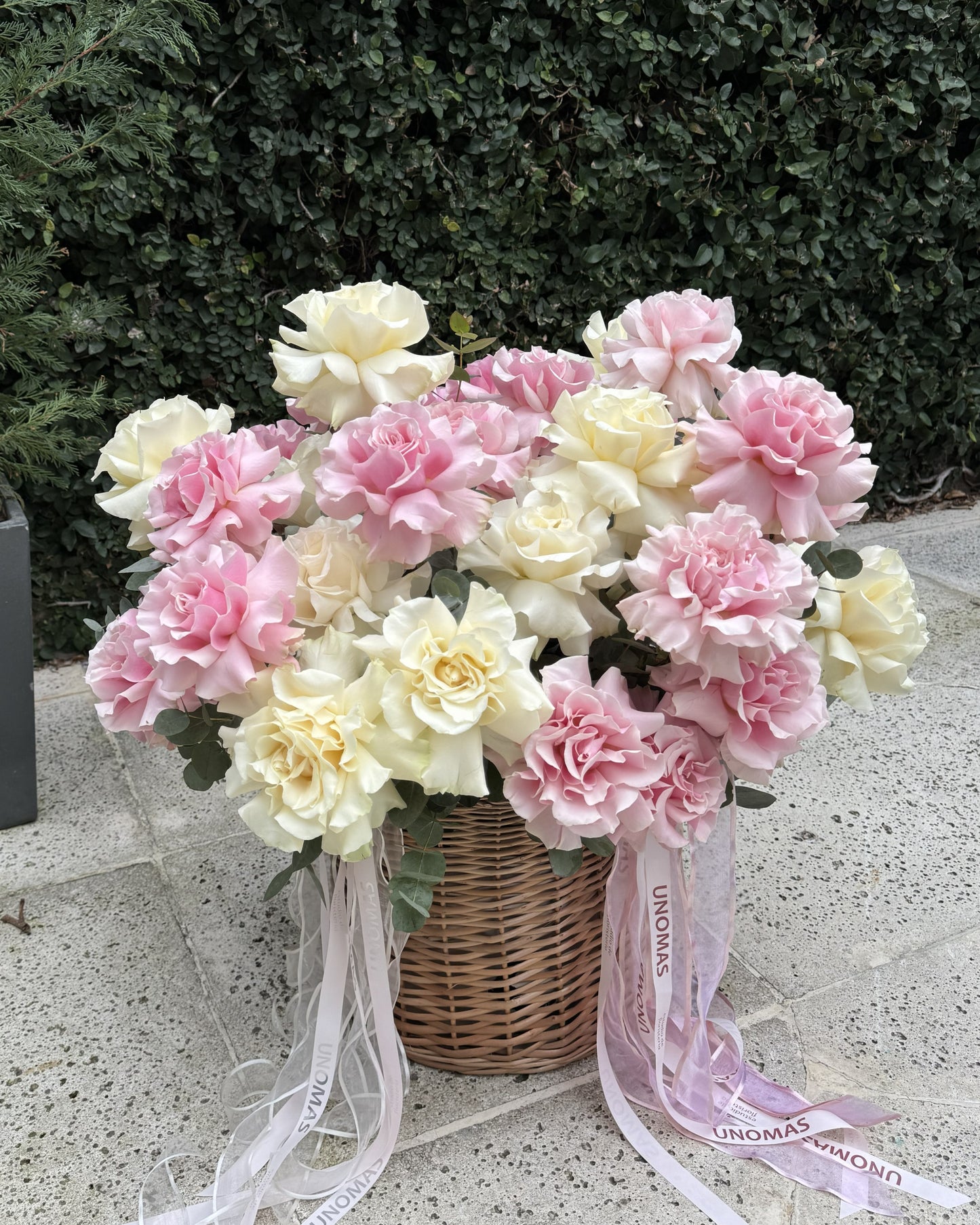 Large Flower Arrangement: light pink & white Ecuadorian roses in a wicker basket