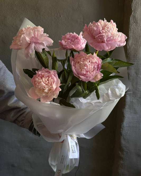 Bouquet of pink flowers wrapped in white paper against a textured wall.