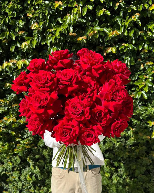 Bouquet of red roses held by a person against a green hedge.