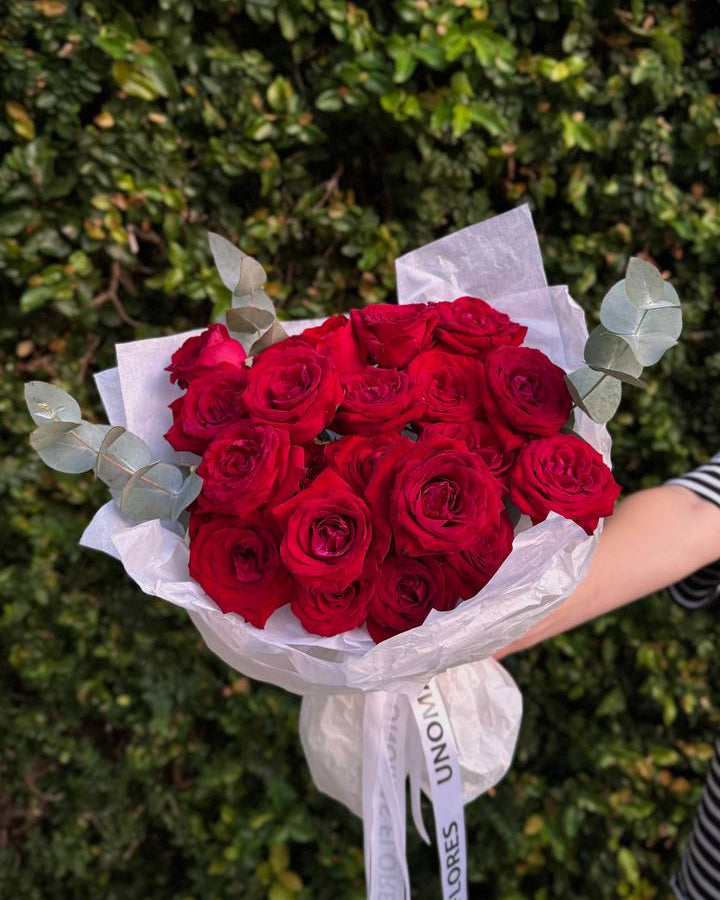 Bouquet of red roses wrapped in white paper with a green leafy background