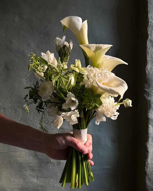 Bouquet of white and green flowers held by a hand against a dark background