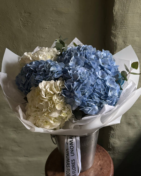 Seven Hydrangeas blue and white gift wrapped in white korean paper 