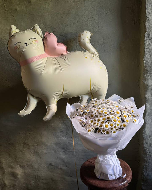 Globo Gata Fedora linda con collar con helio 