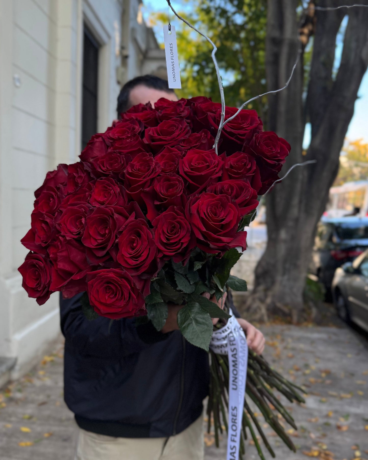 Hand-tied long stem red roses Ecuador 35 pcs with a ribbon