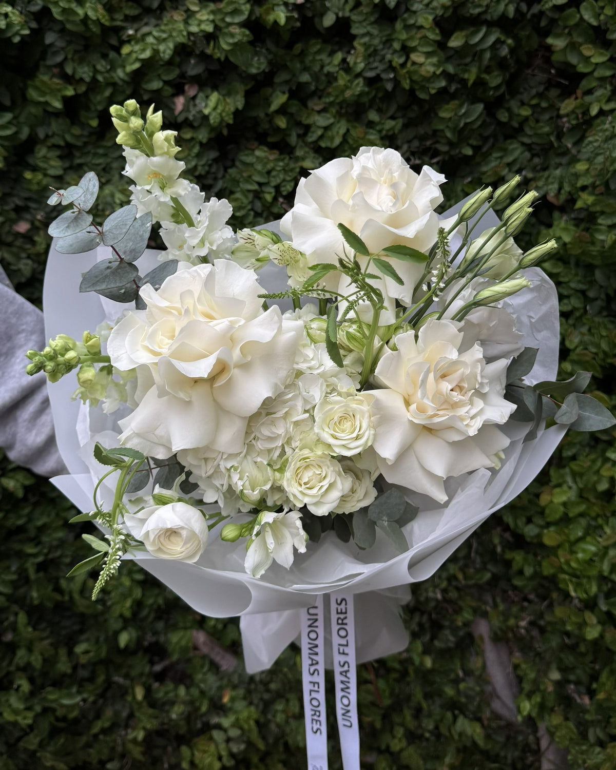 Ramo de rosas blancas, lisianthus y alhelíes con eucalipto, envuelto en papel blanco frente a una pared cubierta de hojas.
