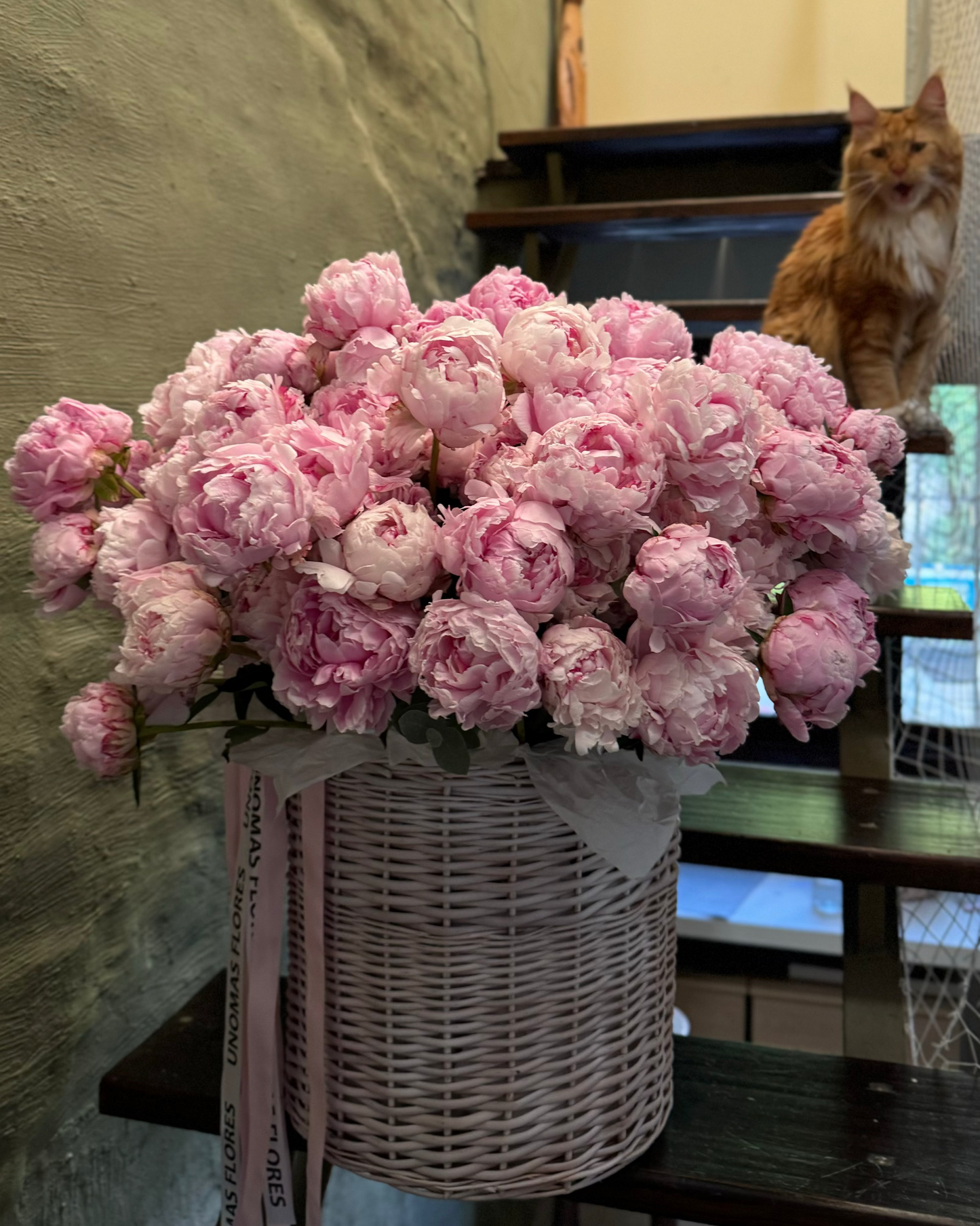 Цветочная композиция моно из пионов 101 шт в плетенной корзине