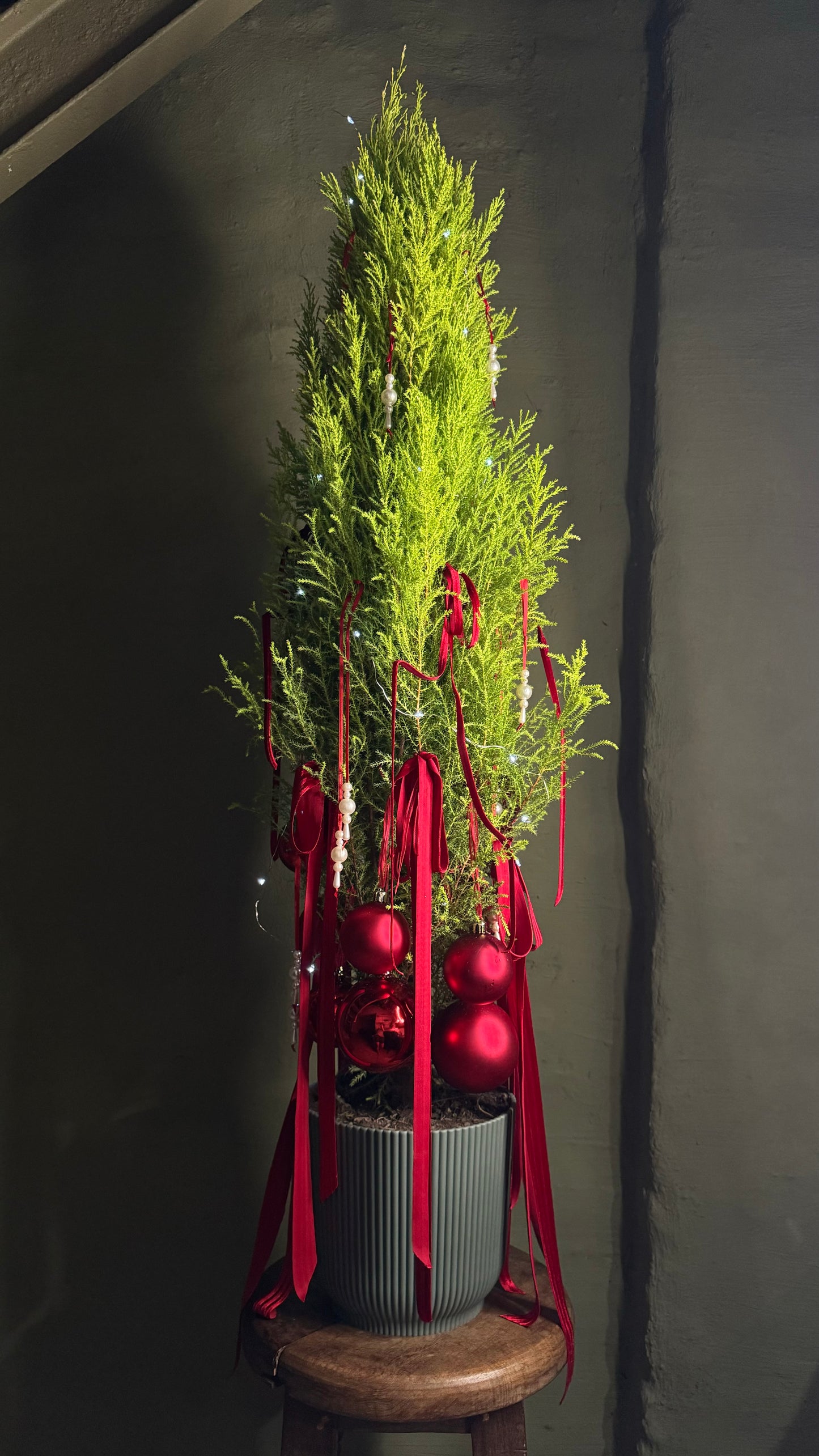 Decorated Christmas tree with white lights & red balls & red ribbons in a gray cachepot