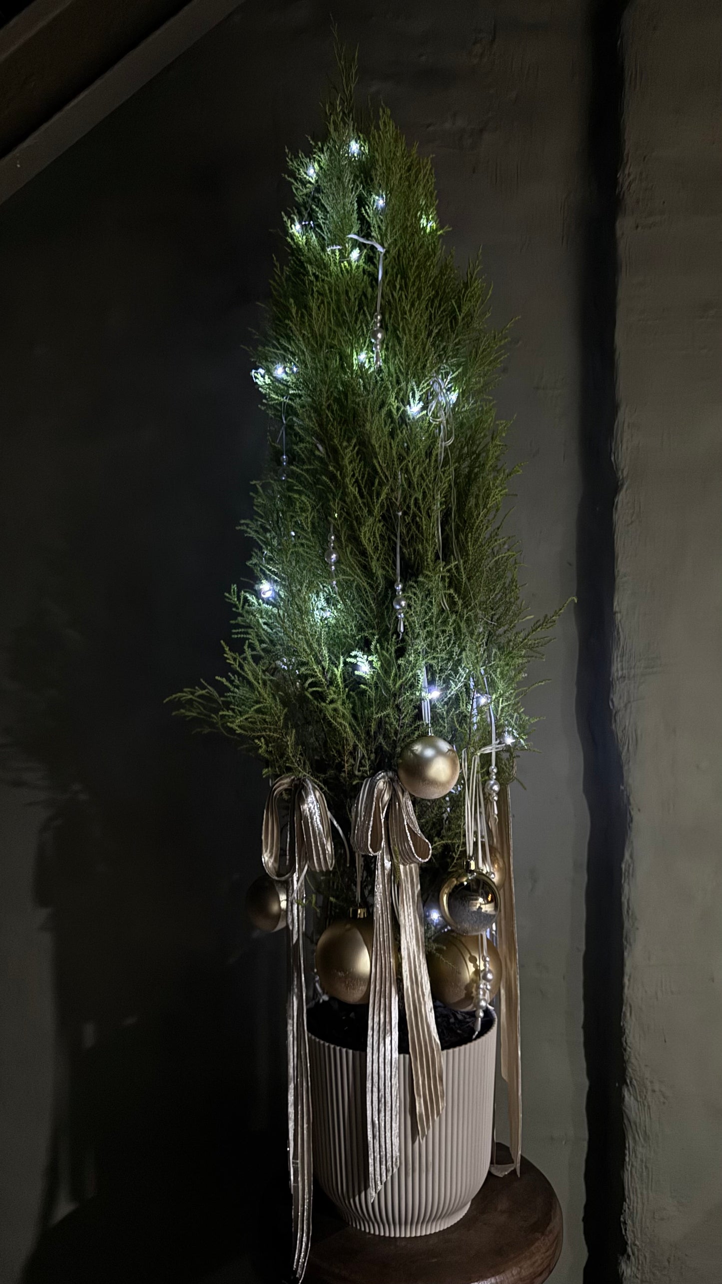 Decorative potted tree with lights and ornaments on a dark background