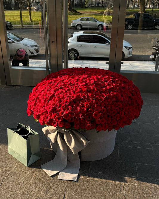 Arreglo de 1001 rosas en caja