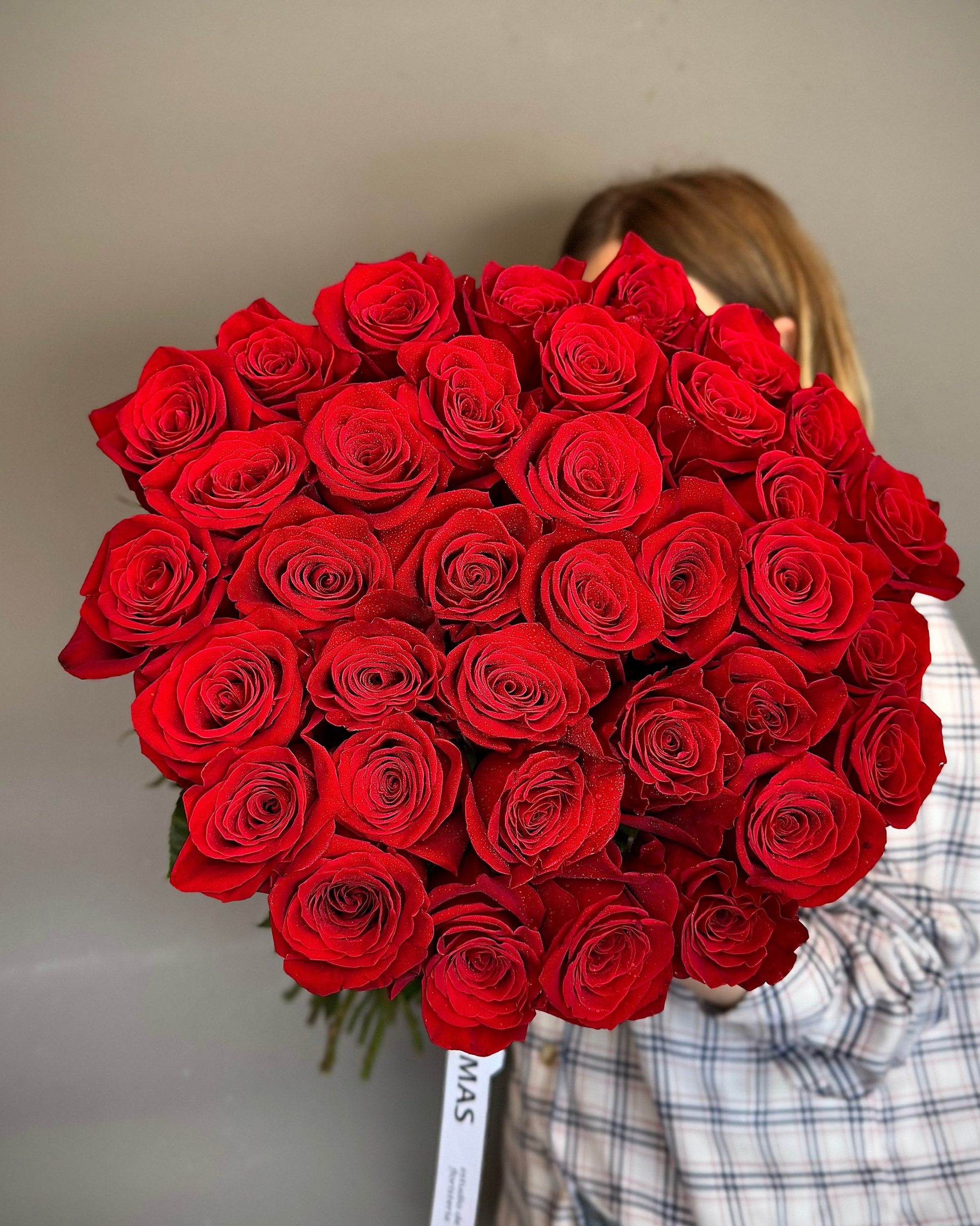 Person holding a large bouquet of red roses against a plain background