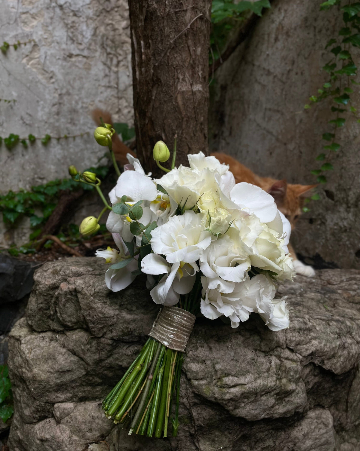 Ramo de novia blanco con orquídea y rosas ecuatorianas