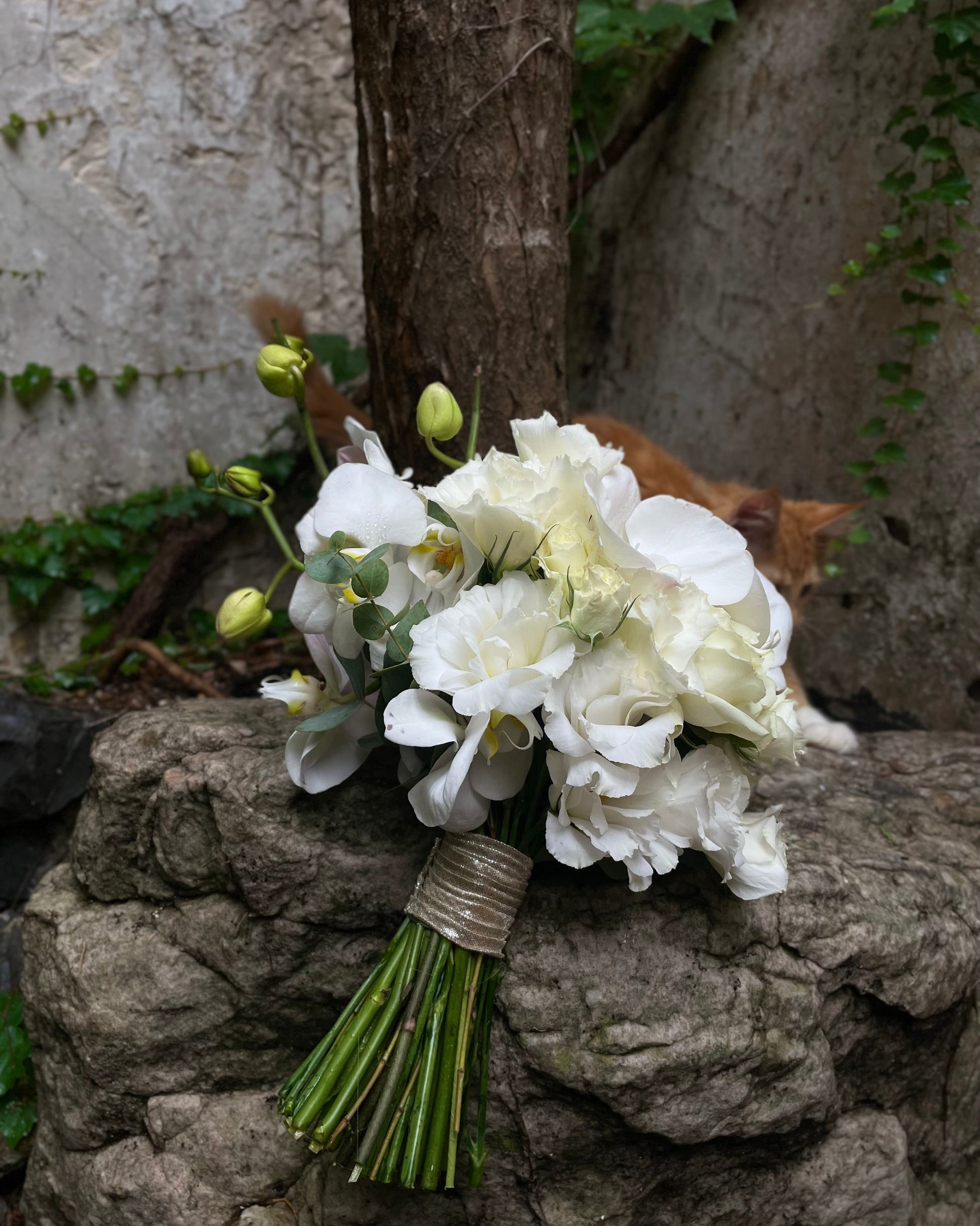 Ramo de novia blanco con orquídea y rosas ecuatorianas